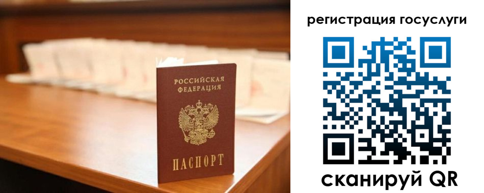 прописка в квартире в Пионерском