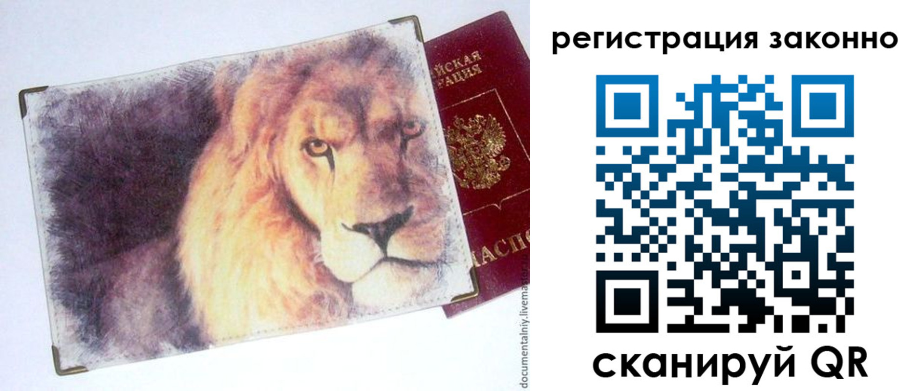 прописка гарантия в Пионерском