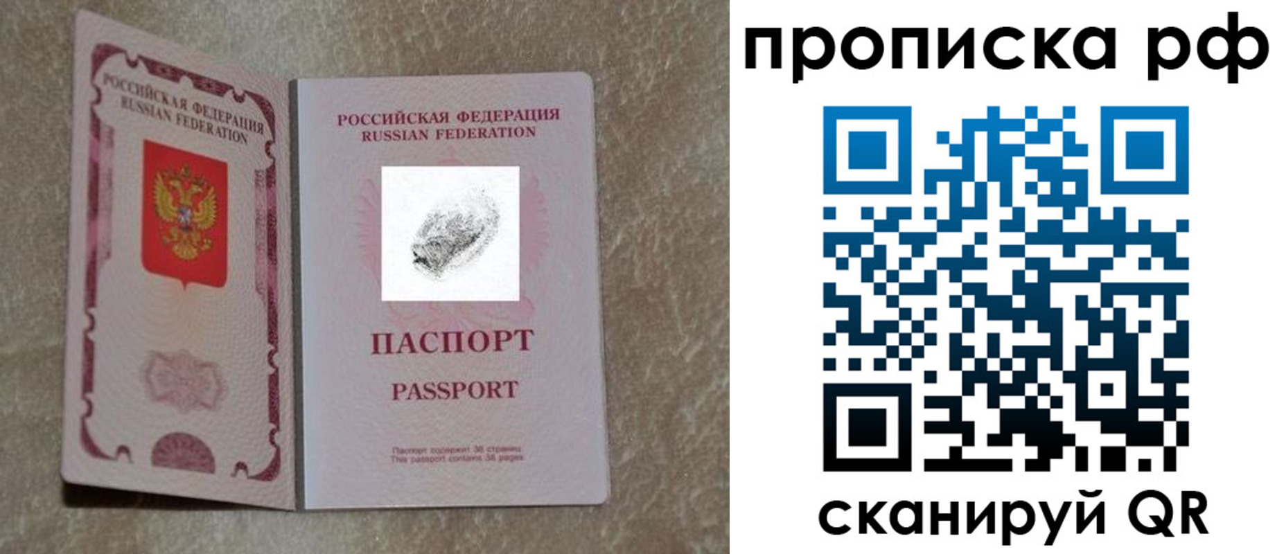 прописка поиск в Пионерском